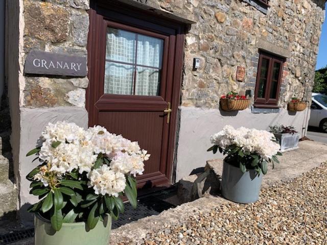 The Gower Cottages มอฟฟัต ภายนอก รูปภาพ